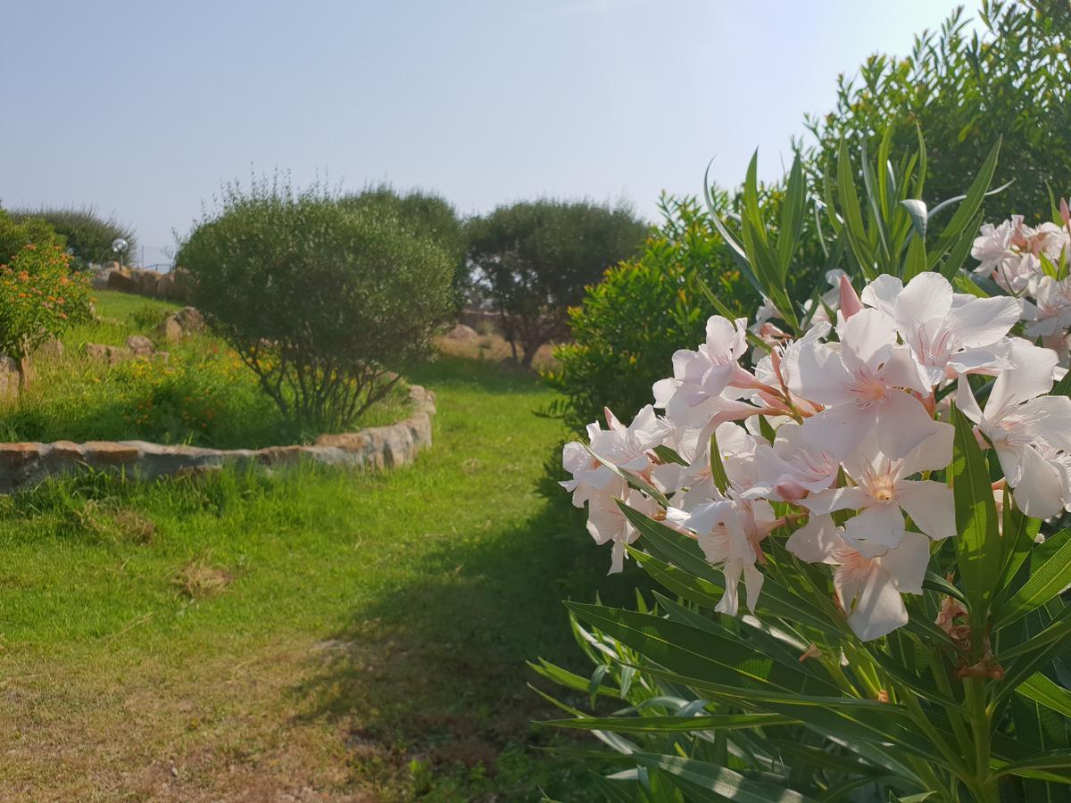 Villa Sprafundu La Maddalena  Extérieur photo